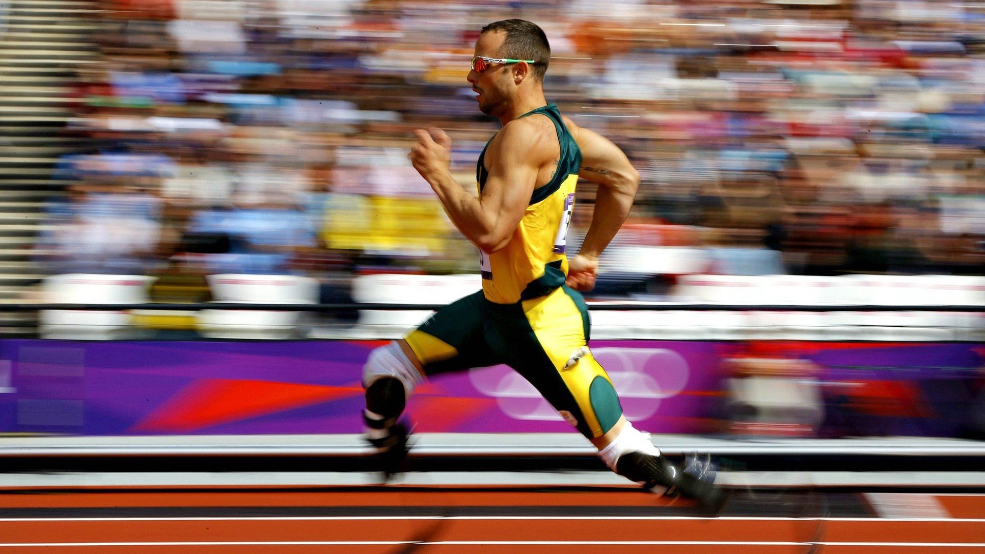 东京奥运向中国体育发出战帖,金牌不断刷新纪录!,东京奥运会体育比赛